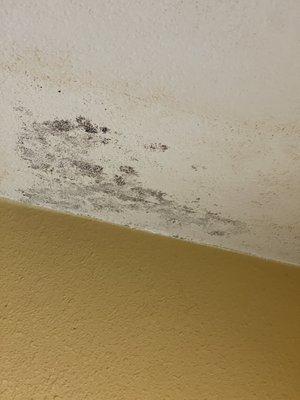 It is not paint chipping it looks like mold building in bathroom ceiling which can be a health hazard