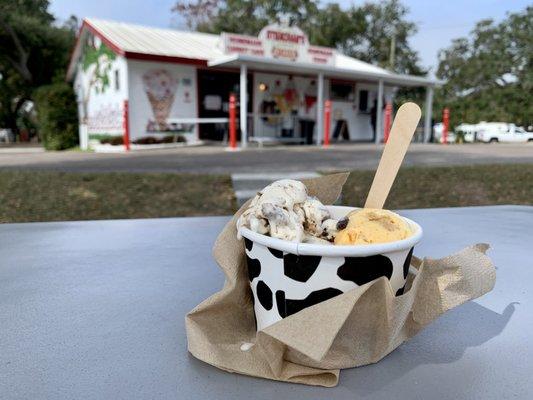 Pumpkin cheesecake and cannoli flavors. Yum!