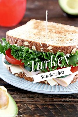 Hungry Bites Turkey Sandwich