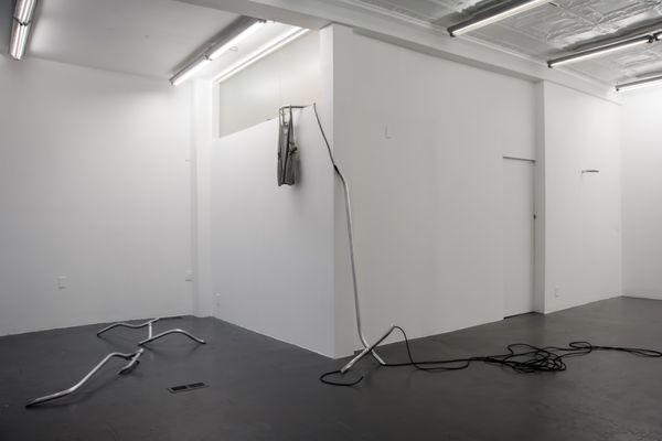 Erika Ceruzzi, Laundered Fang at Springsteen