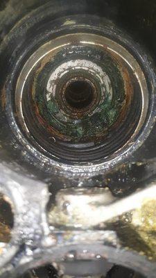 transom bearing gone bad. you need to inspect those bellows