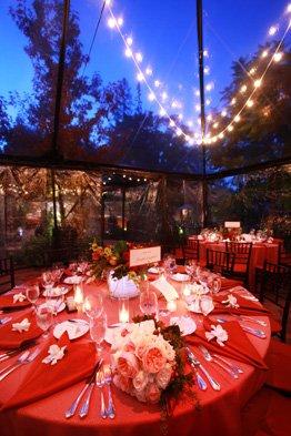 Beautiful outdoor reception