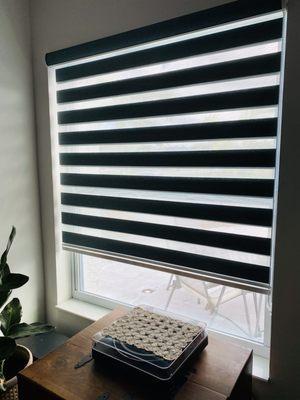 Living room blinds zebra style