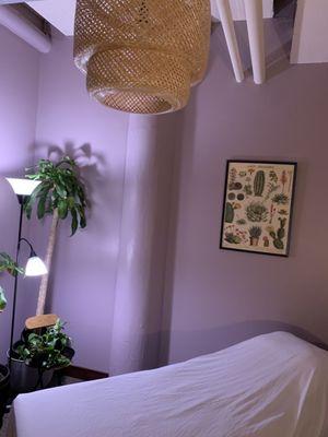 Spacious treatment room with plants, high ceiling, soft lighting