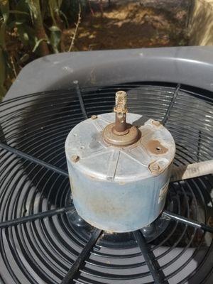 Another old, burnt out condenser motor