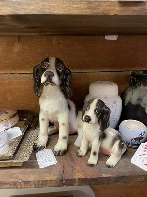 Aww someone take these doggos home