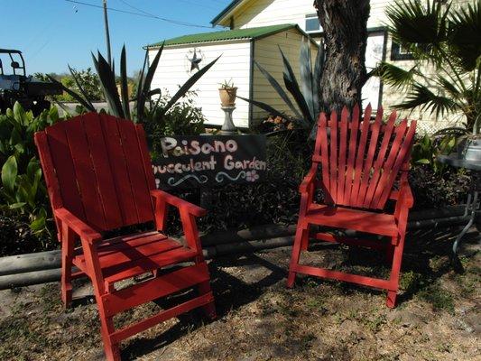 Chill out at the succulent garden area