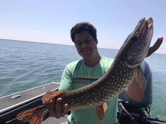 Northern Pike