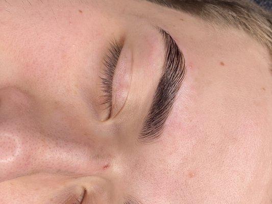 BROW REHAB (Wax, Tint & Lamination)