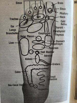 Foot reflex points