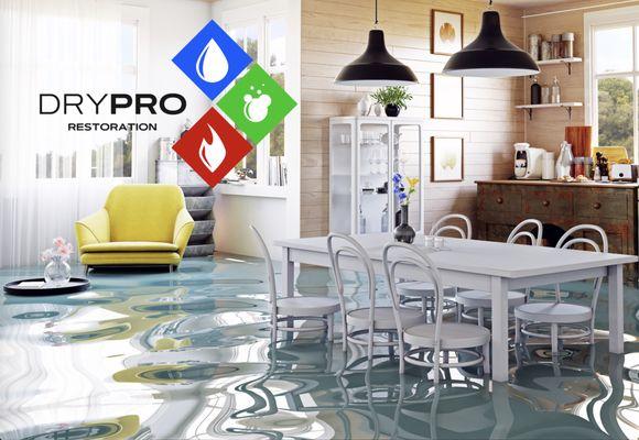 Water Damage & Mold by Drypro