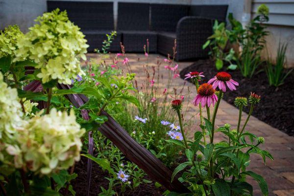 Bare Roots Gardening