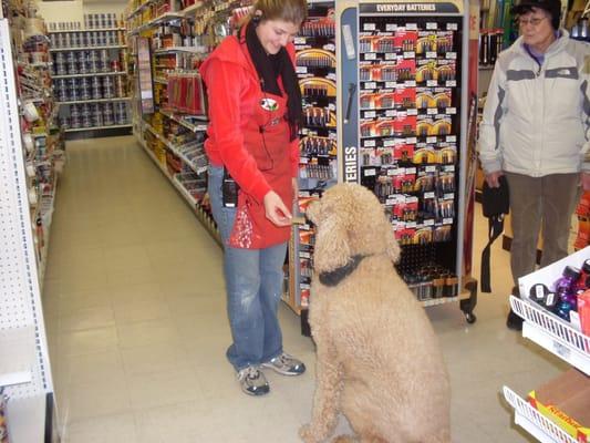 Doggie customers love the attention they receive at Florence Ace Hardware!