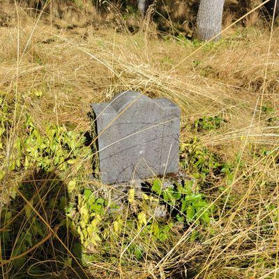 A bit faded but there are Japanese etchings on this headstone.