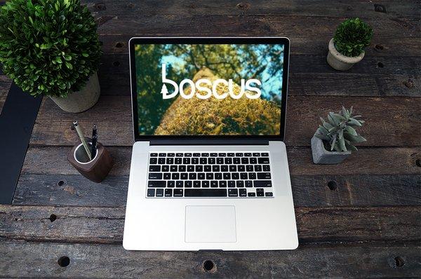 Boscus Digital Marketing: Grow your presence.