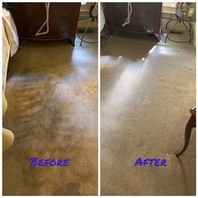 Call us today to treat those pet stains and pet odors!!