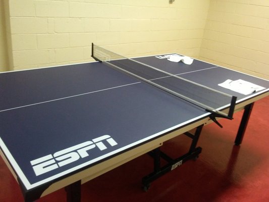 Ping-Pong Table