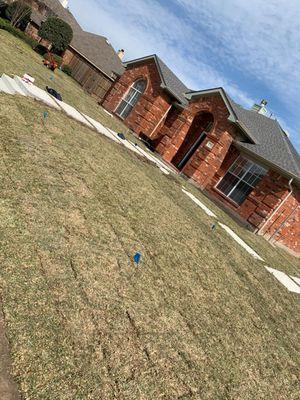 Done laying st Agustine sod