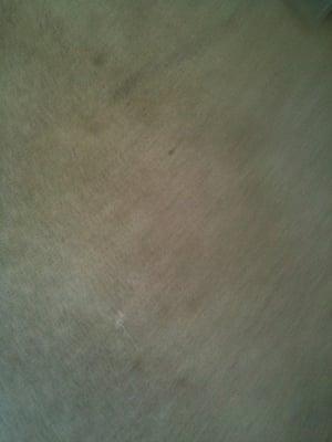 Before Carpet Cleaning