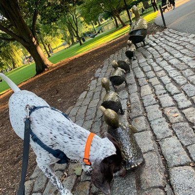 Bark by the Park