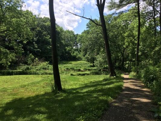 Wooded area opens up to a meadow. Such a great walking/running trail!