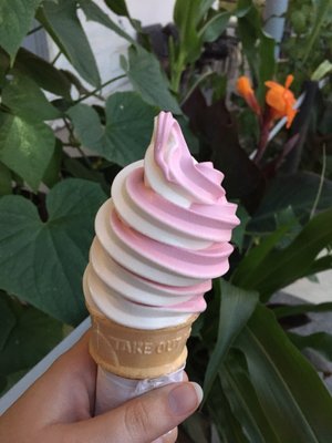 Black Raspberry/ Vanilla swirl