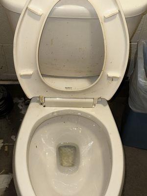 Disgusting urine and stool covered toilet