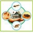 All Pest Extermination