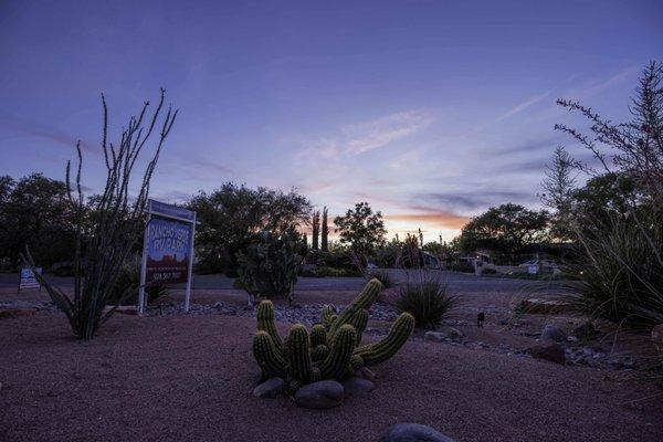 Neighborhood at sunset