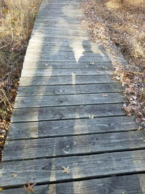 We really enjoyed Lord Stirling Park. Flat trails and a nice environmental education center to explore.