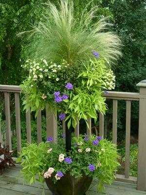 Kathy Selz Landscaping Maintenance