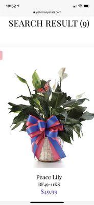 Website picture of arrangement