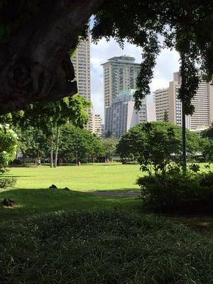 This is Kuroda Field from corner of Kalia Rd & Maluhia Rd.