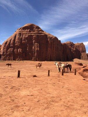 Dineh Trail Rides