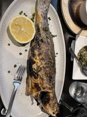 Whole Grilled Bronzino