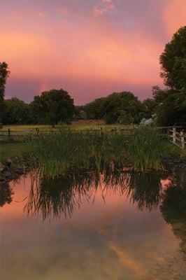 Pond at Sunset