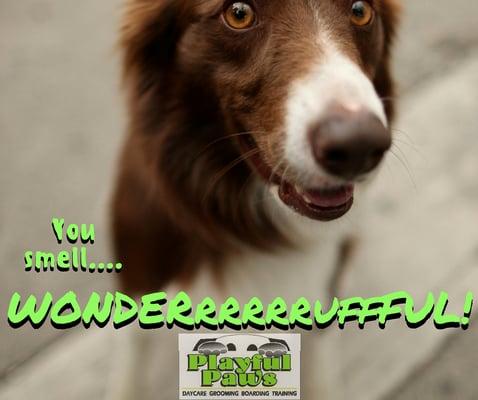 Dogs can smell when you're upset or scared.  They have an incredible sense of smell!