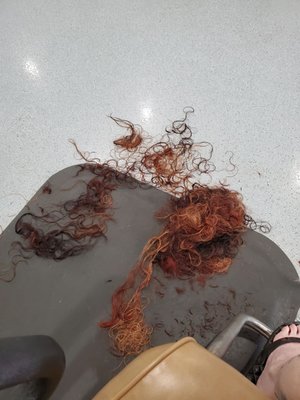 Took off about 4 cats of hair.