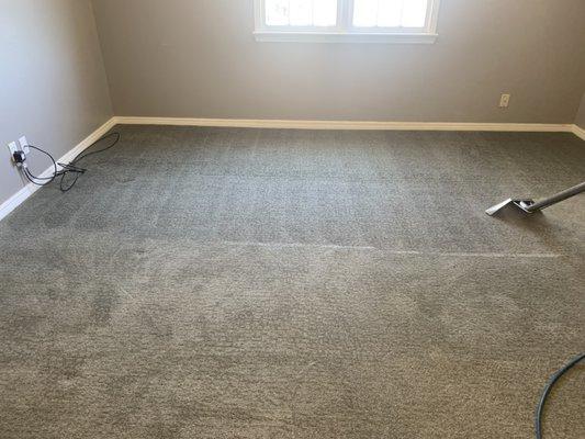 Carpet Cleaning