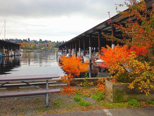 Stimson Marina