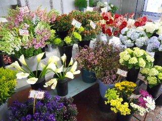 Visit our huge shop-in cooler for a great selection of fresh cut flowers & arrangements!