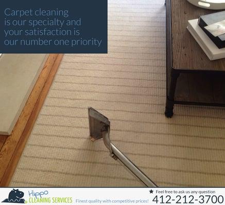 Carpet Cleaning