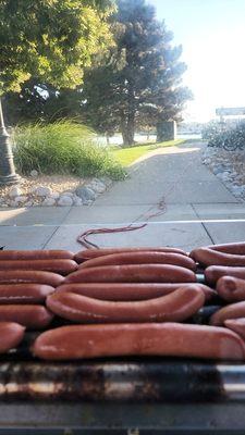 An assortment of delicious hot dogs, and links.