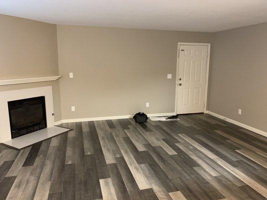 Living room, fire place and paint.