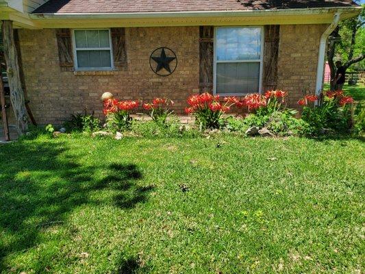 Flower beds