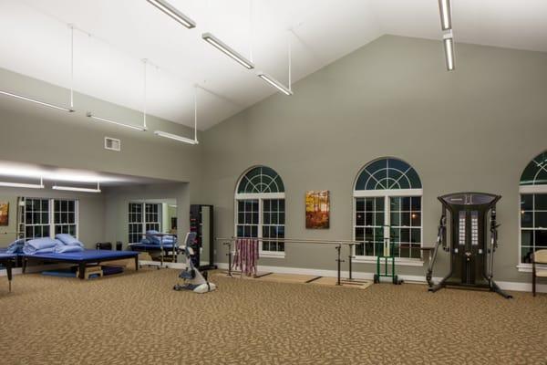 Therapy Gym