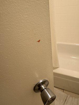 Blood on bathroom door