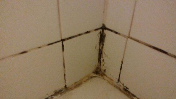 Shower mold from cracked tiles and water damage behind walls