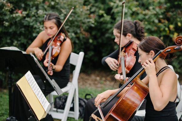 String Trio