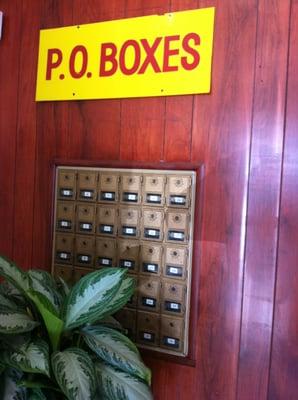 they have mail boxes or p.o. boxes and copies. I am telling you they have everything you need at Marys Check Cashing service, :)